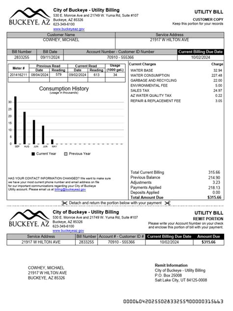 Streamlining Bill Payments with the City of Buckeye.
